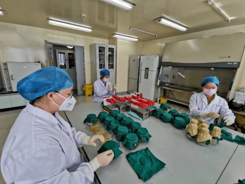 巾帼建功新时代 中国疾控中心环境所消毒中心荣获全国巾帼文明岗称号